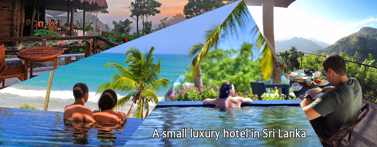 A small luxury hotel in Sri Lanka Opportunity Sri Lanka