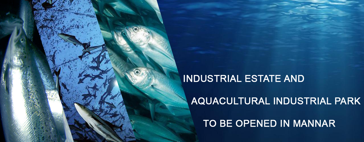 Industrial Estate and Aquacultural Industrial Park to be opened in Mannar