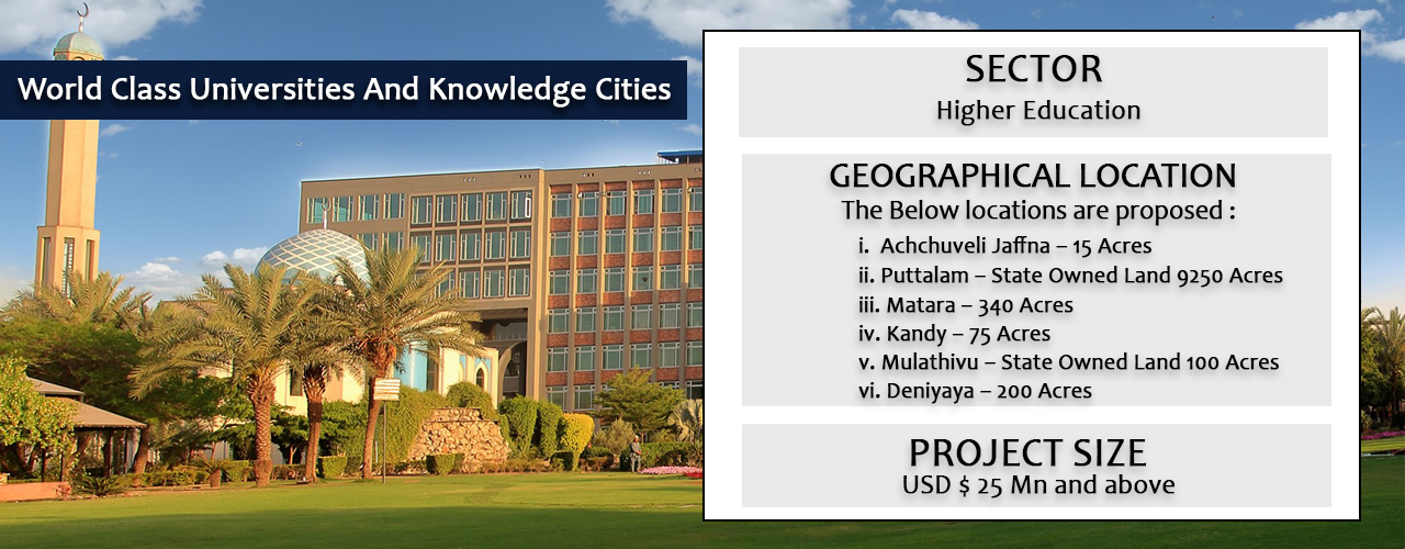 World Class Universities And Knowledge Cities