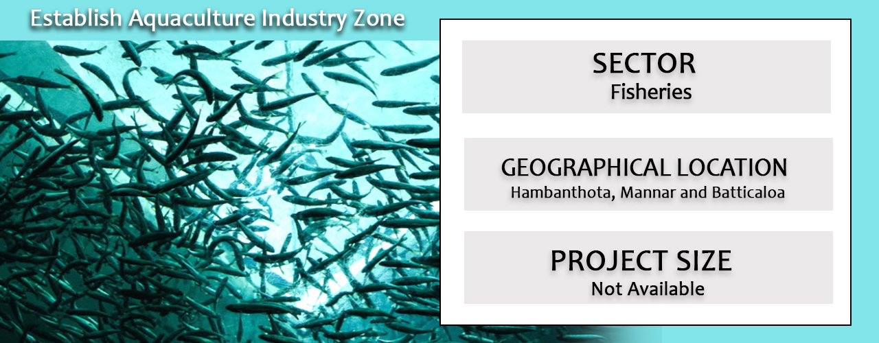 Establish Aquaculture Industry Zone