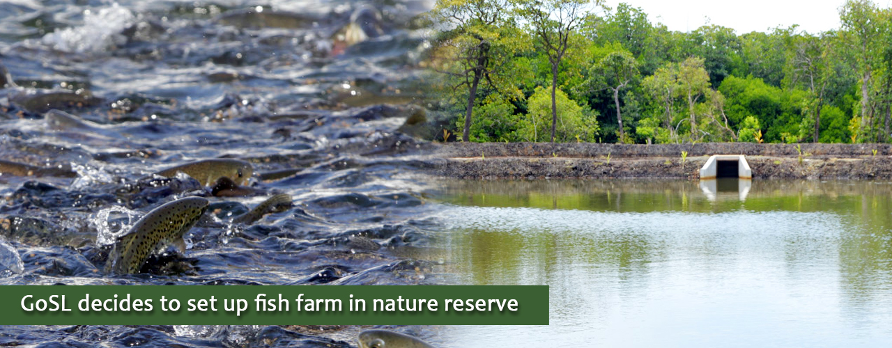 GoSL decides to set up fish farm in nature reserve