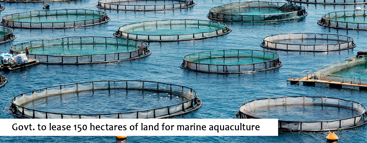 Govt. to lease 150 hectares of land for marine aquaculture