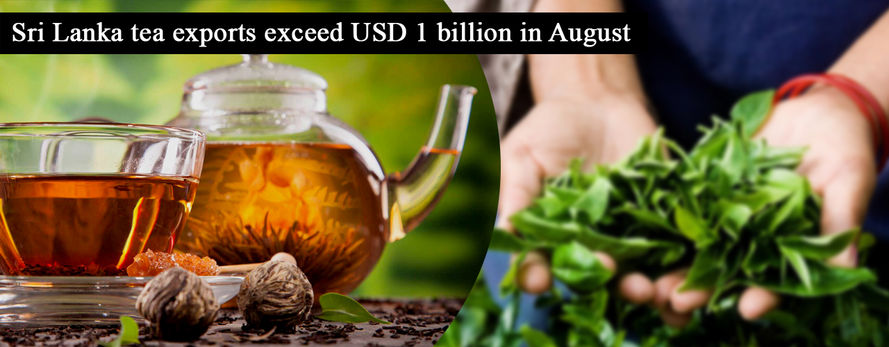 Sri Lanka tea exports exceed USD 1 billion in August