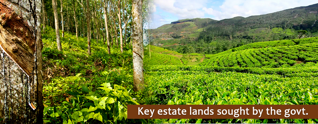Key estate lands sought by the govt.