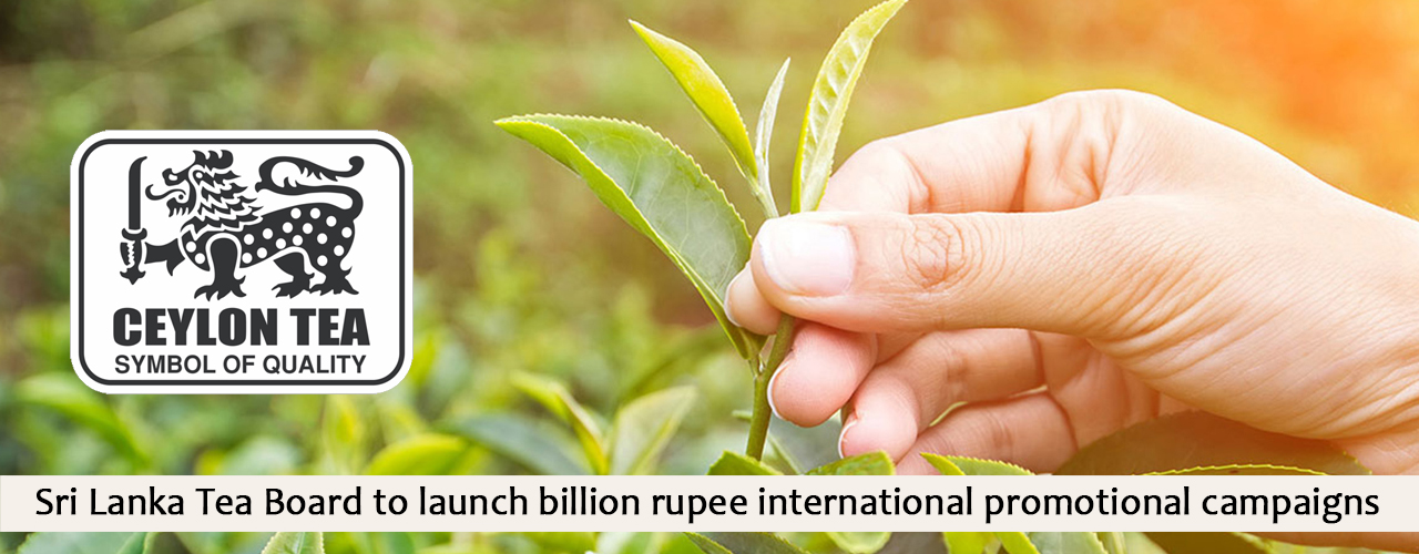 Sri Lanka Tea Board to launch billion rupee international promotional campaigns