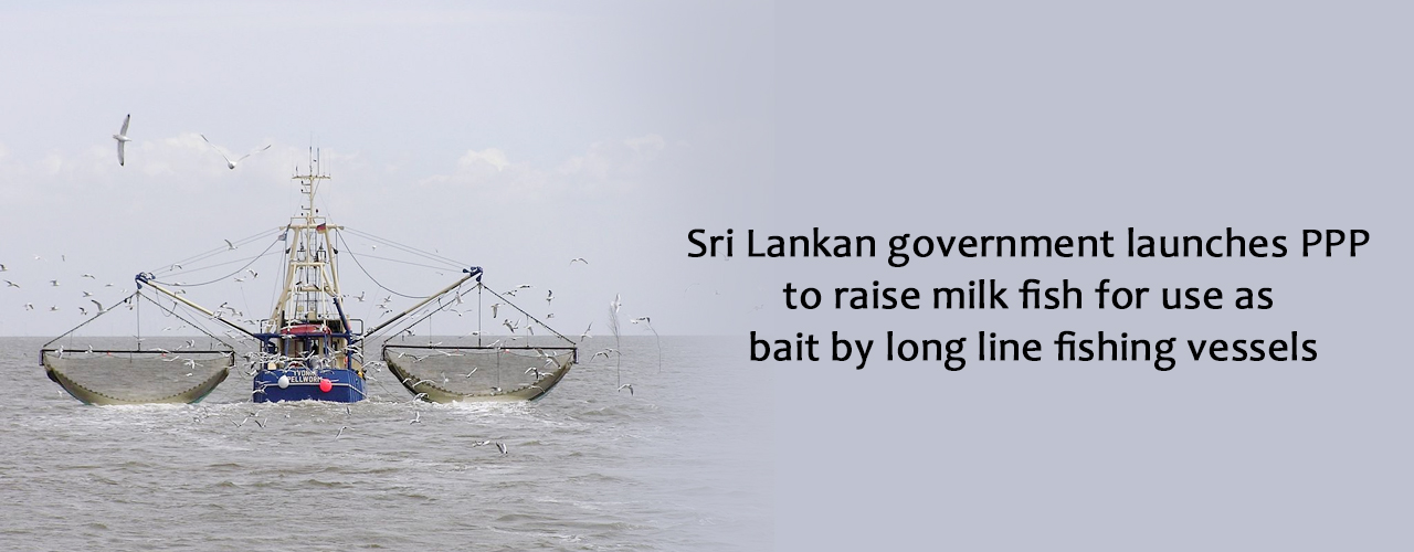 Sri Lankan government launches PPP to raise milk fish for use as bait by long line fishing vessels
