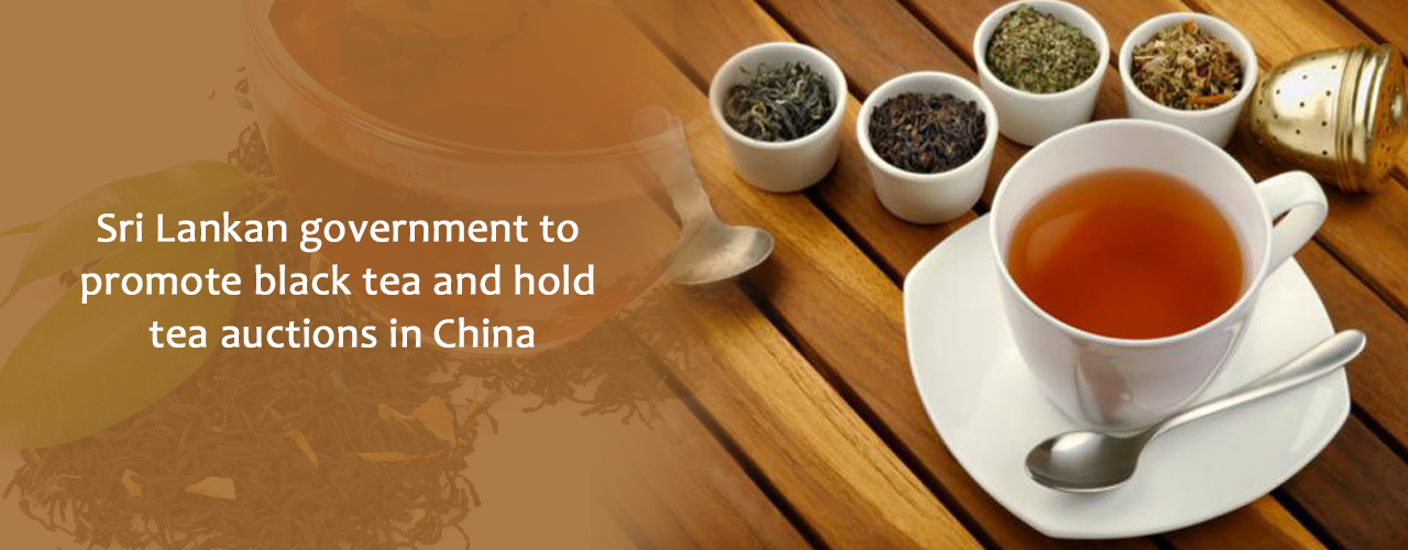 Sri Lankan government to promote black tea and hold tea auctions in China