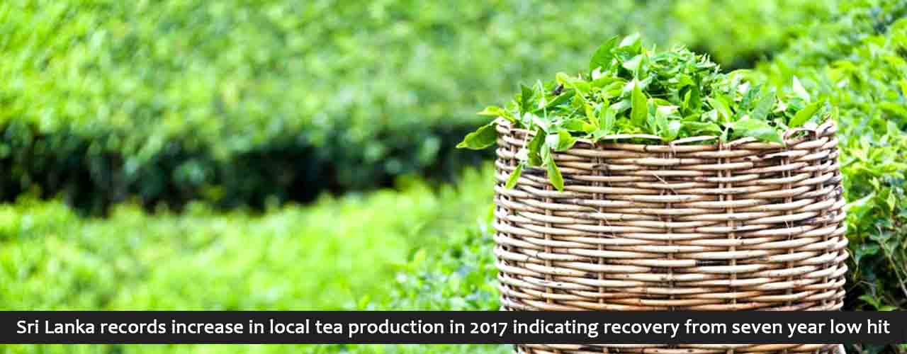 Sri Lanka records increase in local tea production in 2017 indicating recovery from seven year low hit