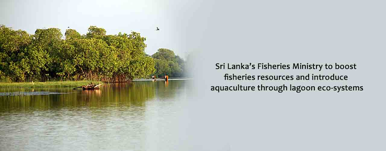 Sri Lanka’s Fisheries Ministry to boost fisheries resources and introduce aquaculture through lagoon eco-systems