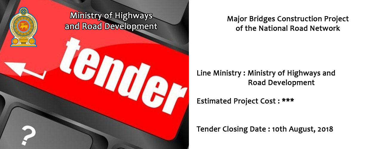 Major Bridges Construction Project of the National Road Network
