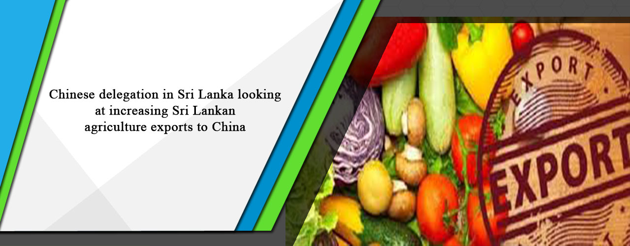 Chinese delegation in Sri Lanka looking at increasing Sri Lankan agriculture exports to China