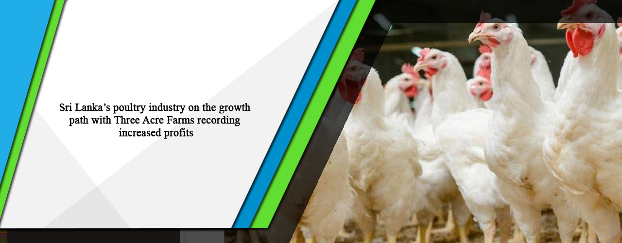 Sri Lanka’s poultry industry on the growth path with Three Acre Farms recording increased profits