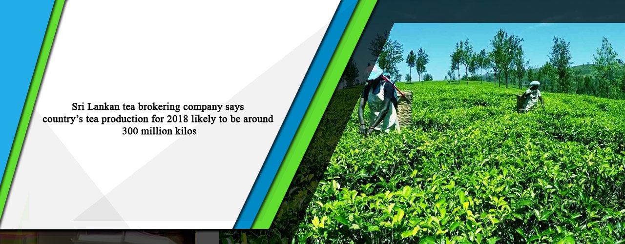 Sri Lankan tea brokering company says country’s tea production for 2018 likely to be around 300 million kilos