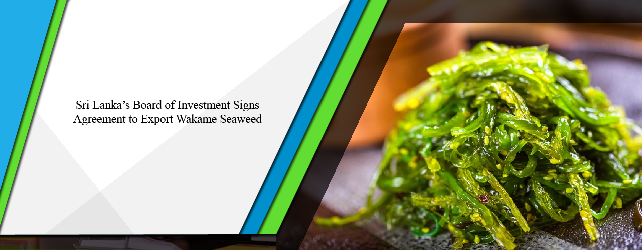 Sri Lanka’s Board of Investment signs agreement to export Wakame Seaweed