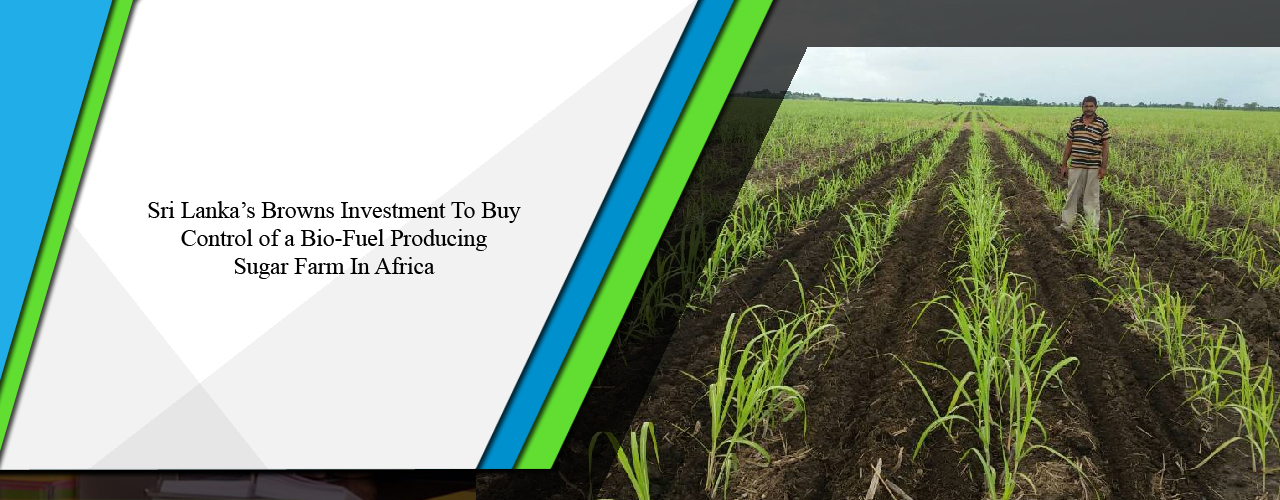 Sri Lanka’s Browns Investment to buy control of a bio-fuel producing sugar farm in Africa