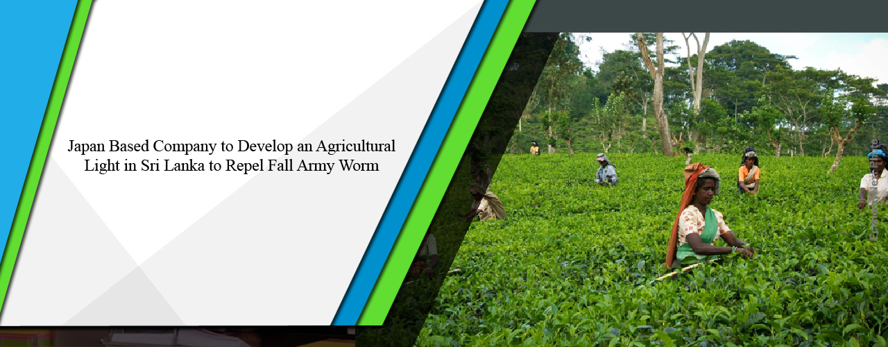 Japan based company to develop an agricultural light in Sri Lanka to repel fall army worm
