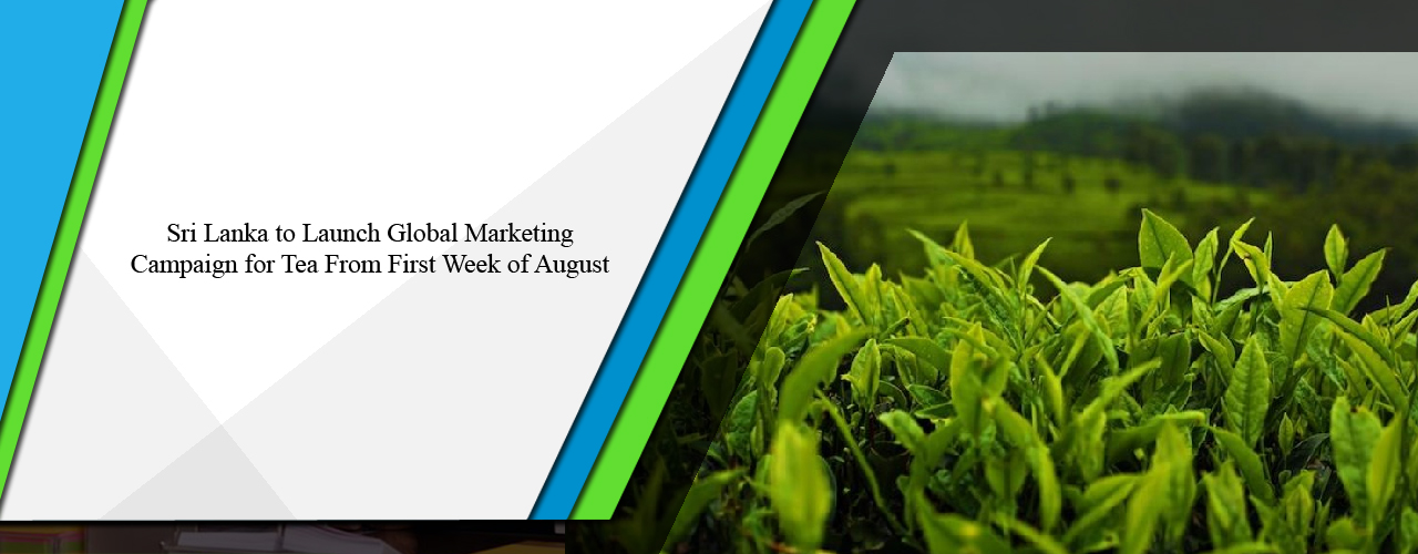 Sri Lanka to launch global marketing campaign for tea from first week of August