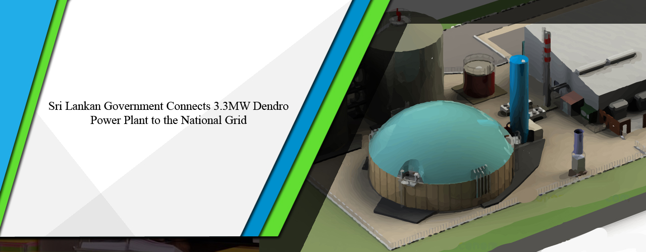 Sri Lankan government connects 3.3MW dendro power plant to the national grid