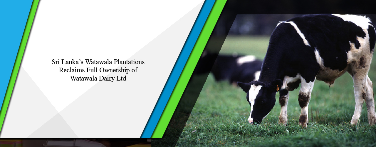 Sri Lanka’s Watawala Plantations reclaims full ownership of Watawala Dairy Ltd