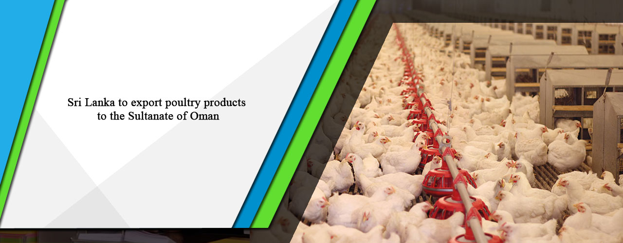 Sri Lanka to export poultry products to the Sultanate of Oman