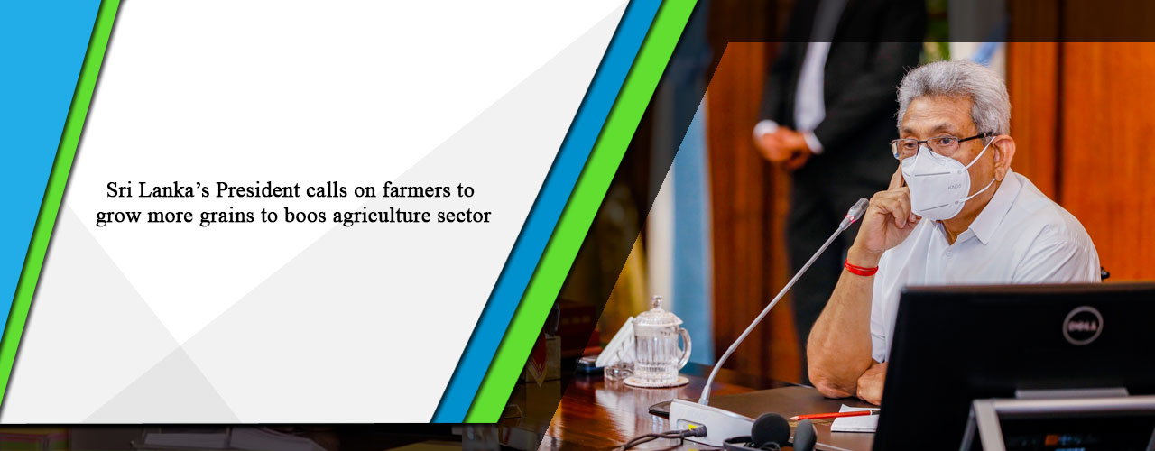 Sri Lanka’s President calls on farmers to grow more grains to boos agriculture sector