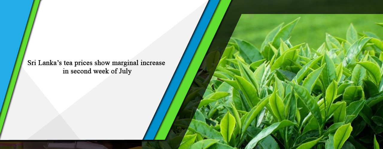 Sri Lanka’s tea prices show marginal increase in second week of July