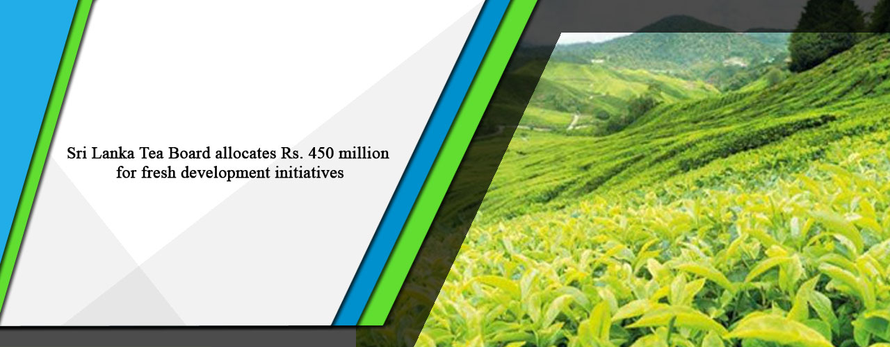 Sri Lanka Tea Board allocates Rs. 450 million for fresh development initiatives