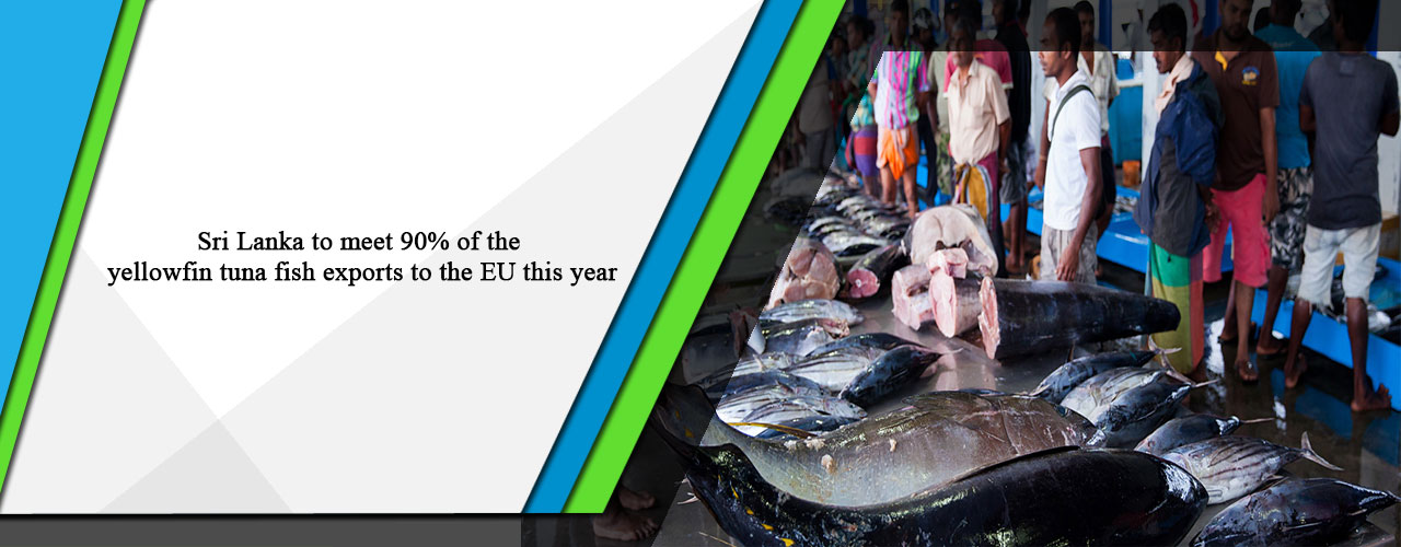 Sri Lanka to meet 90% of the yellowfin tuna fish exports to the EU this year
