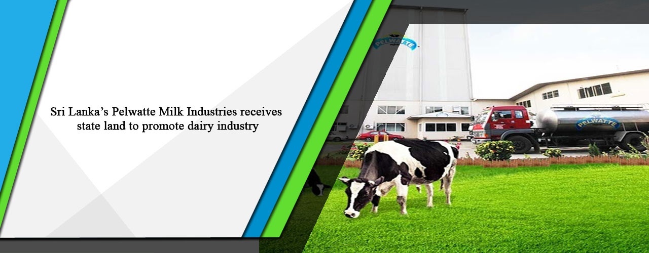 Sri Lanka’s Pelwatte Milk Industries receives state land to promote dairy industry