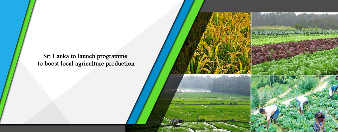 Sri Lanka to launch programme to boost local agriculture production
