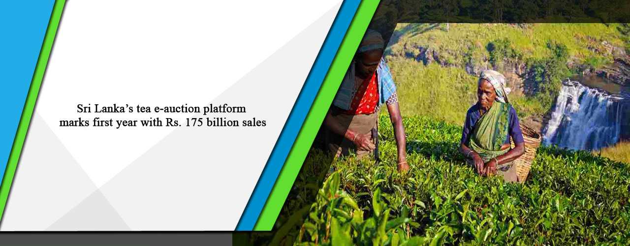 Sri Lanka’s tea e-auction platform marks first year with Rs. 175 billion sales