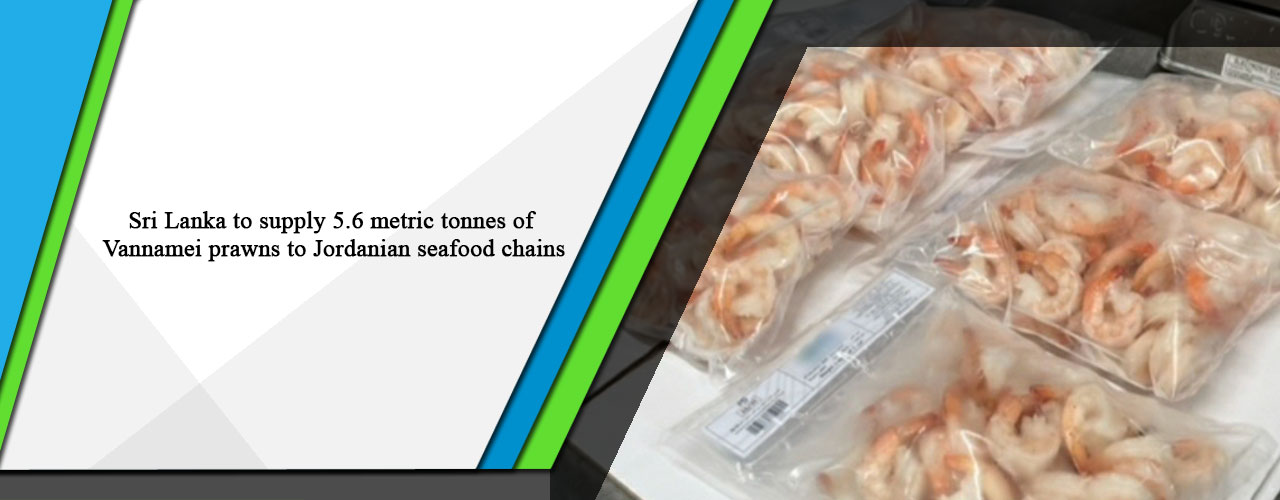 Sri Lanka to supply 5.6 metric tonnes of Vannamei prawns to Jordanian seafood chains