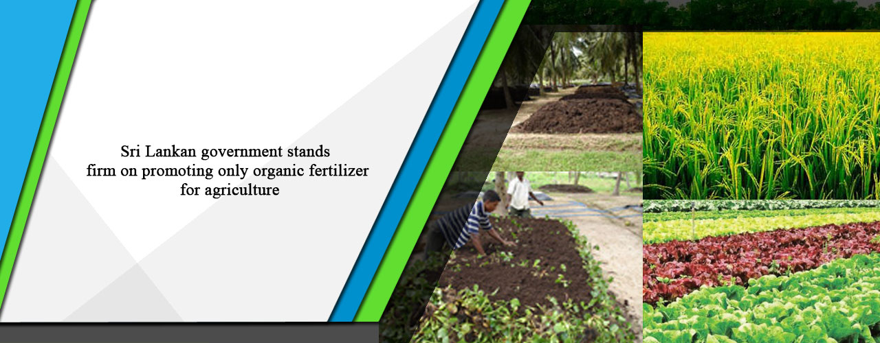 Sri Lankan government stands firm on promoting only organic fertilizer for agriculture