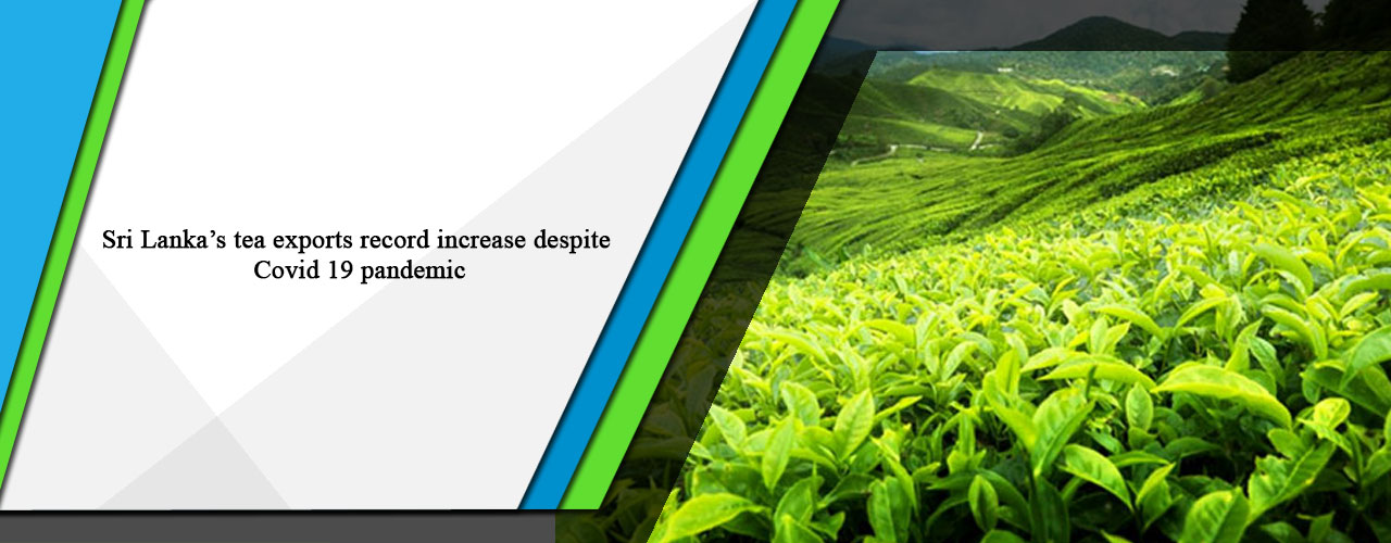 Sri Lanka’s tea exports record increase despite Covid 19 pandemic