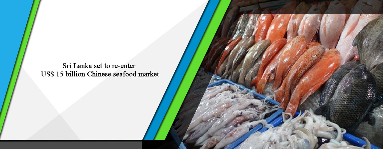 Sri Lanka set to re-enter US$ 15 billion Chinese seafood market