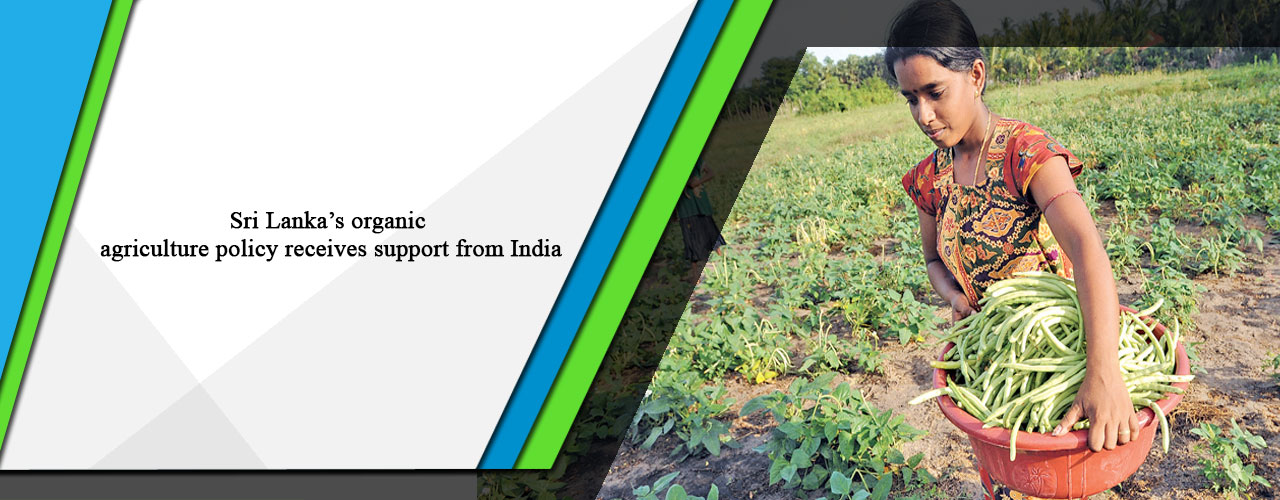 Sri Lanka’s organic agriculture policy receives support from India