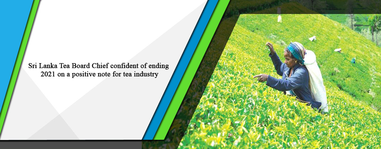 Sri Lanka Tea Board Chief confident of ending 2021 on a positive note for tea industry