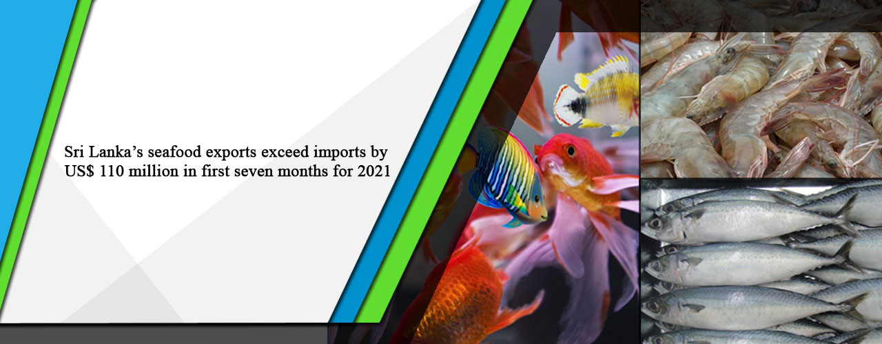Sri Lanka’s seafood exports exceed imports by US$ 110 million in first seven months for 2021