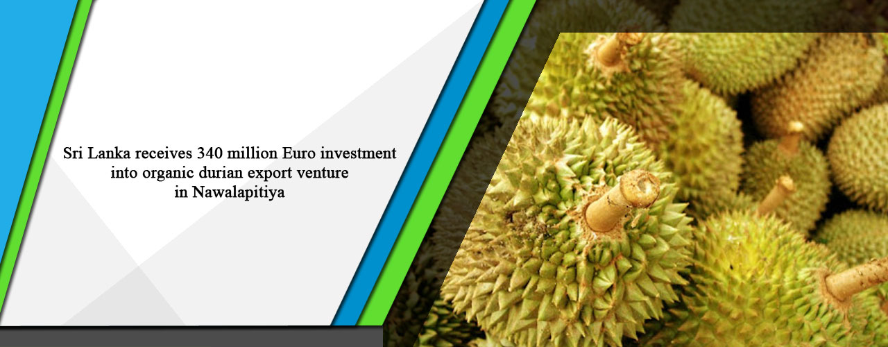 Sri Lanka receives 340 million Euro investment into organic durian export venture in Nawalapitiya