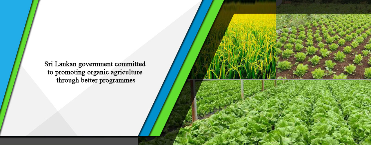 Sri Lankan government committed to promoting organic agriculture through better programmes