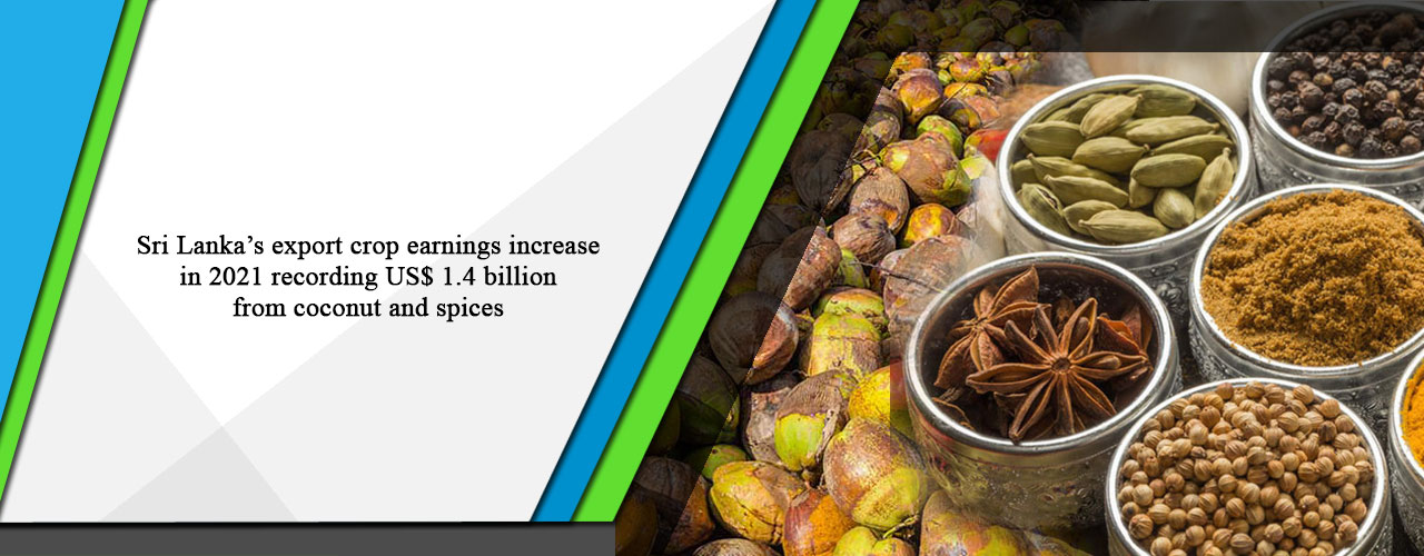 Sri Lanka’s export crop earnings increase in 2021 recording US$ 1.4 billion from coconut and spices