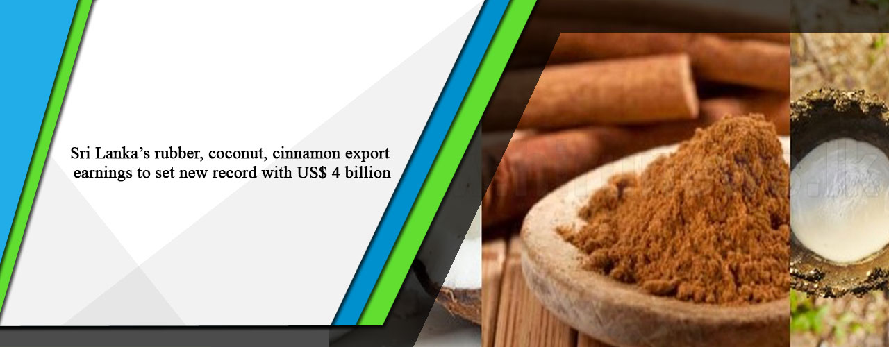 Sri Lanka’s rubber, coconut, cinnamon export earnings to set new record with US$ 4 billion