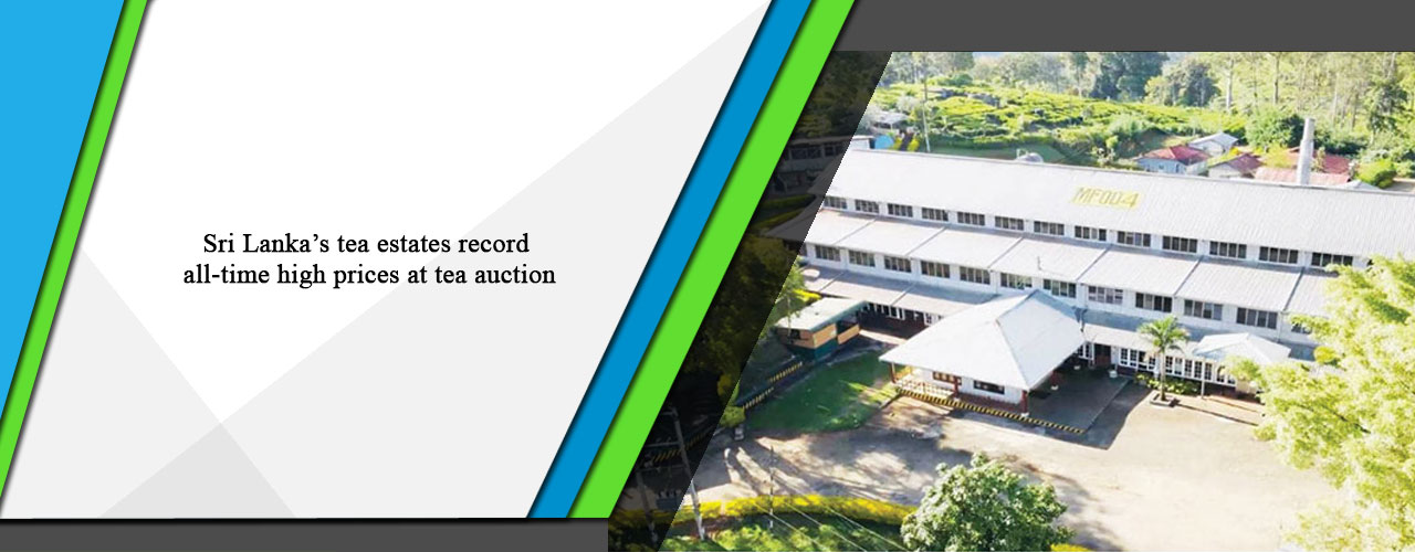 Sri Lanka’s tea estates record all-time high prices at tea auction