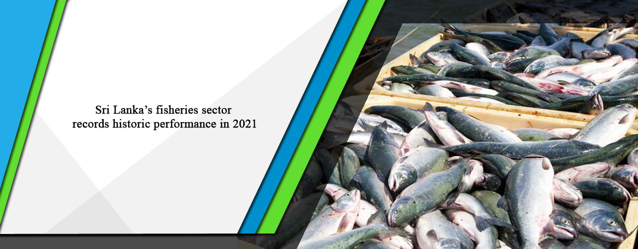 Sri Lanka’s fisheries sector records historic performance in 2021