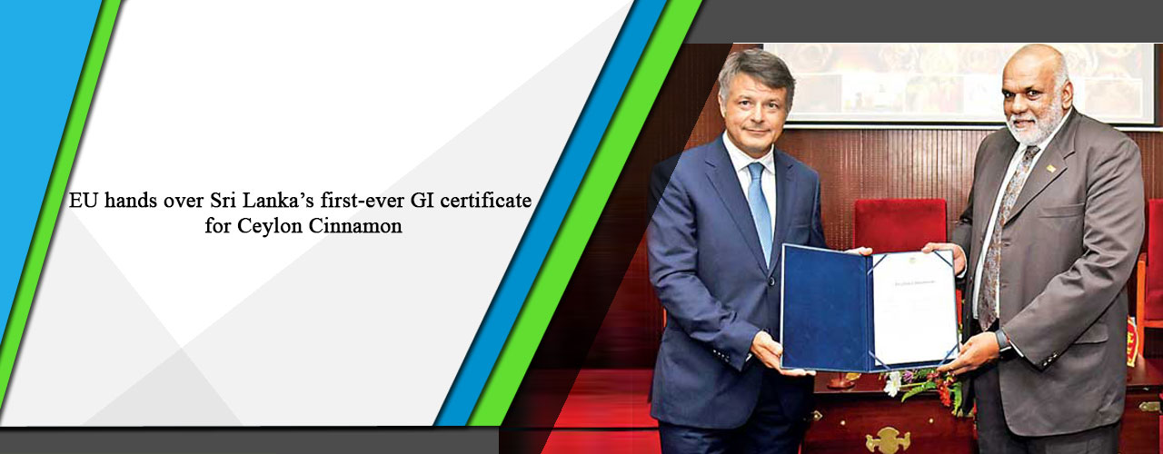 EU hands over Sri Lanka’s first-ever GI certificate for Ceylon Cinnamon