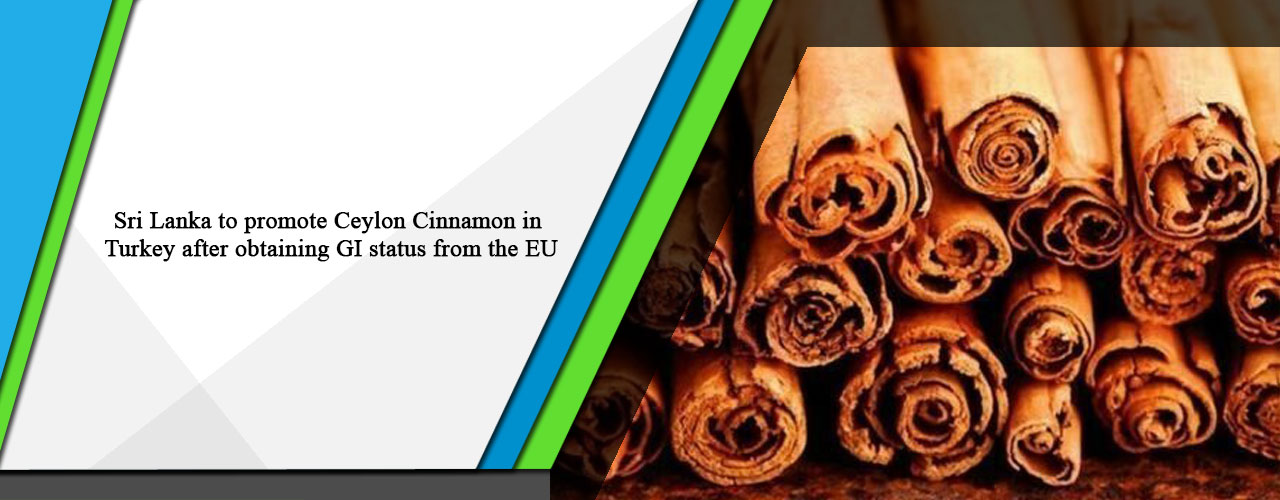 Sri Lanka to promote Ceylon Cinnamon in Turkey after obtaining GI status from the EU