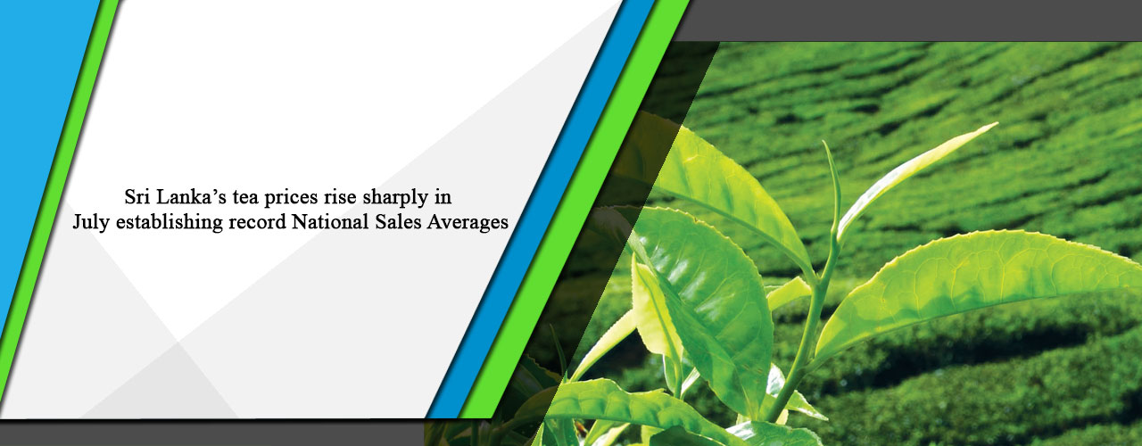 Sri Lanka’s tea prices rise sharply in July establishing record National Sales Averages.