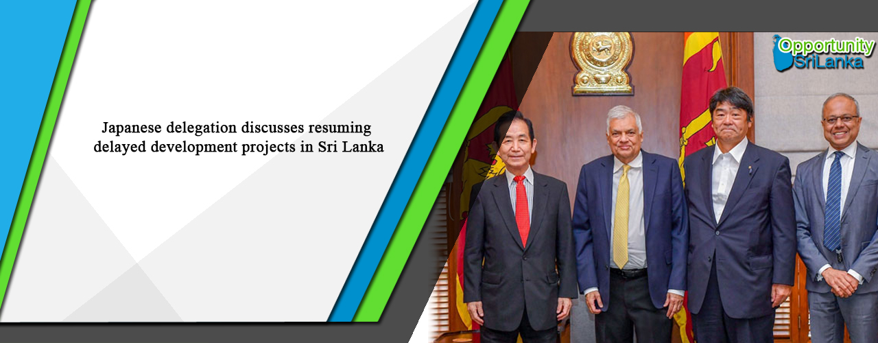 Japanese delegation discusses resuming delayed development projects in Sri Lanka