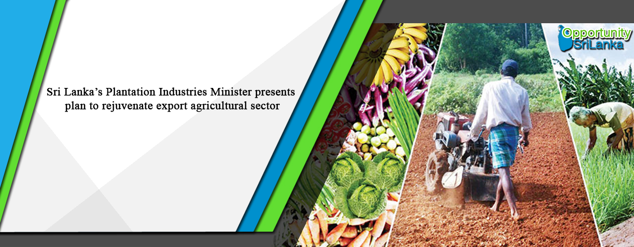 Sri Lanka’s Plantation Industries Minister presents plan to rejuvenate export agricultural sector