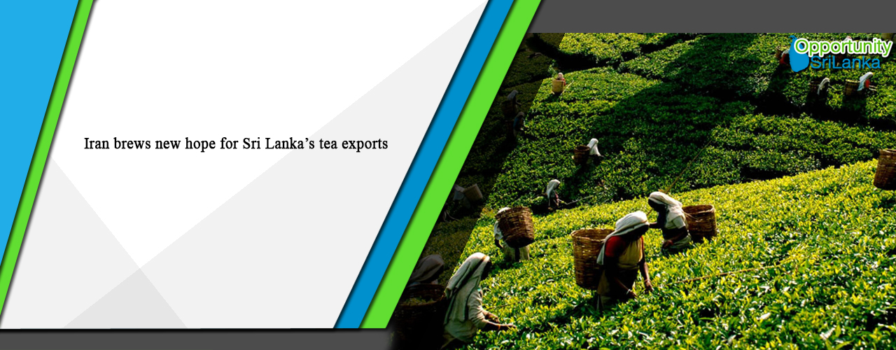Iran brews new hope for Sri Lanka’s tea exports